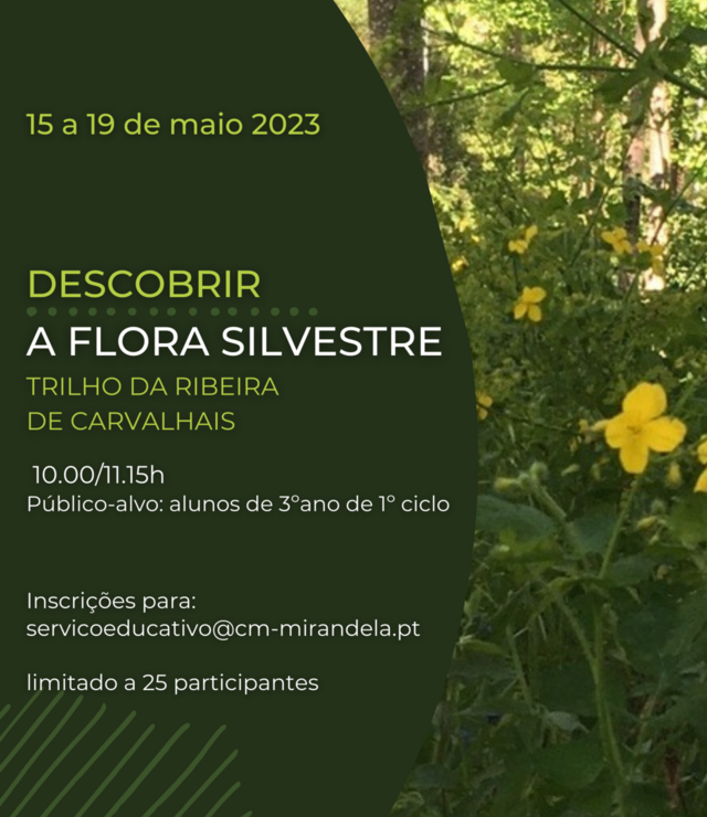 cartaz_descobrir_a_flora_silvestre