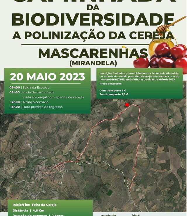 caminhada_da_biodiversidade___mascarenhas