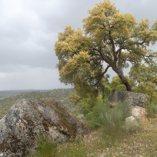 SICRomeu_RedeNatura2000