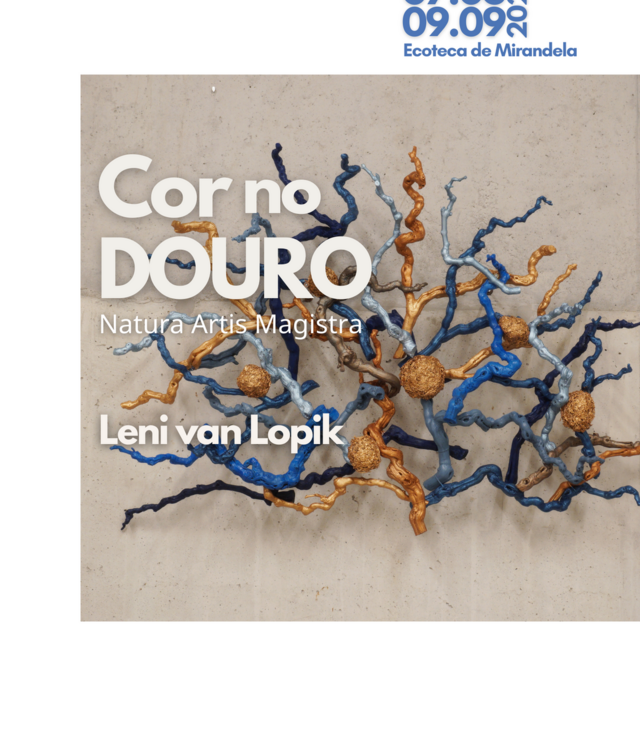 __cartaz_cor_no_douro