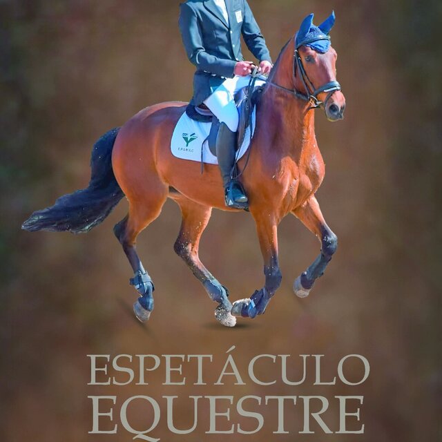 espetaculo_equestre_paradela