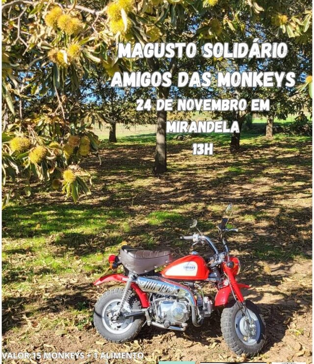 magusto_amigos_das_monkeys