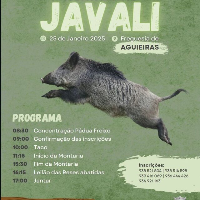 montaria_ao_javali___aguieiras