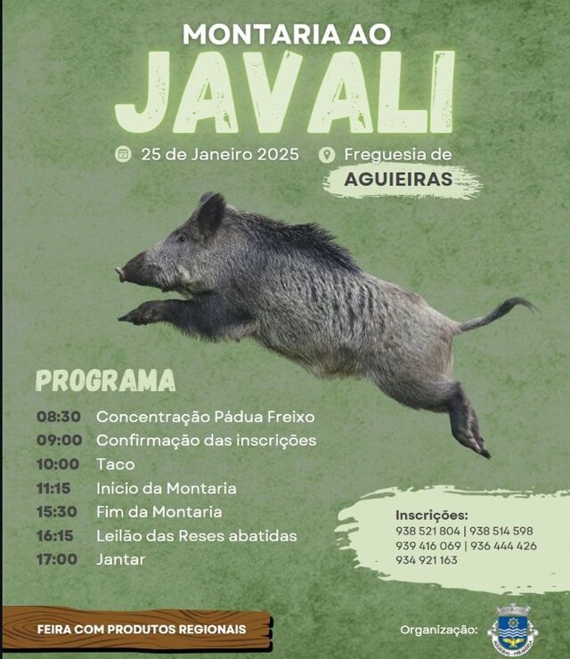 montaria_ao_javali___aguieiras