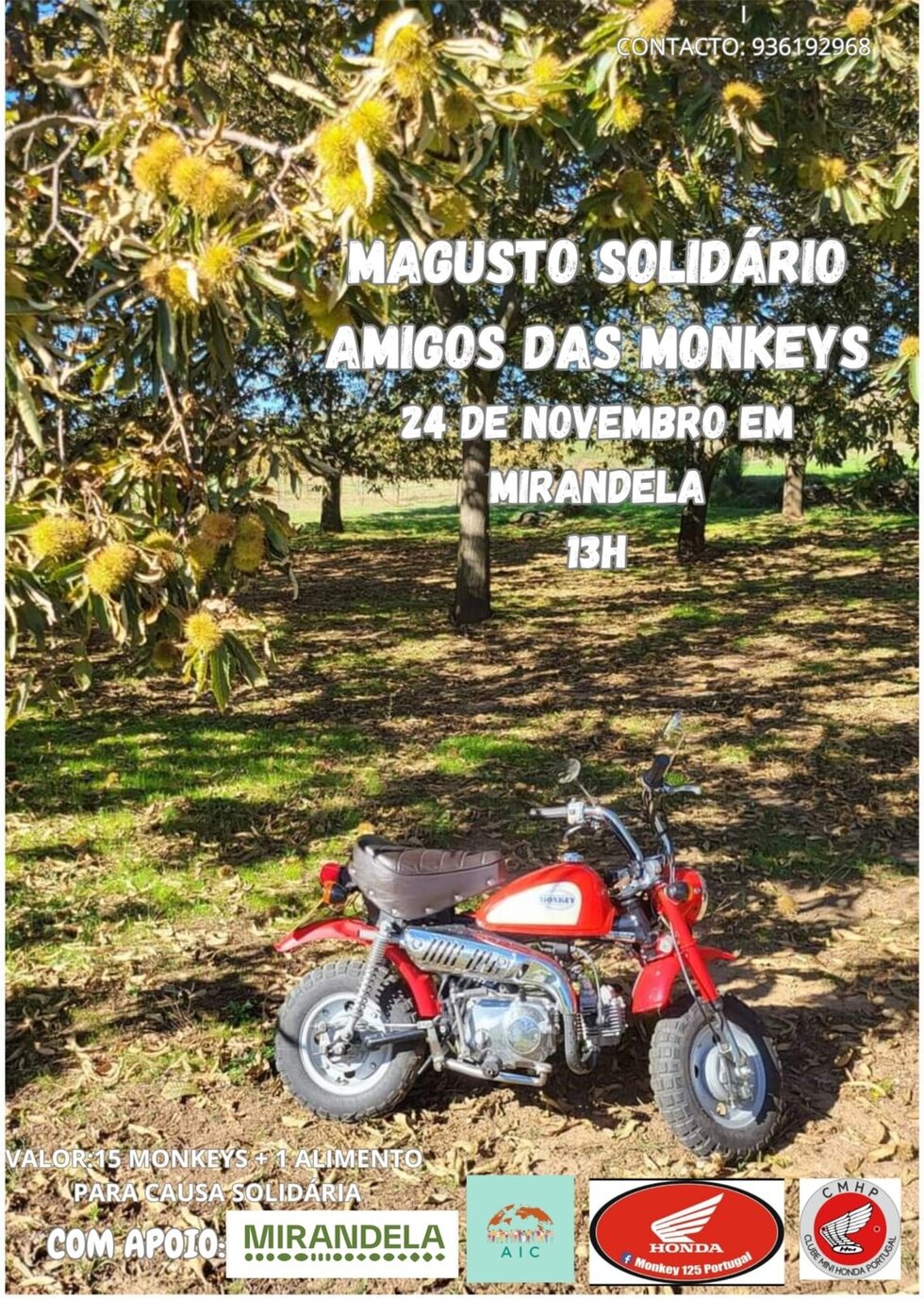 magusto_amigos_das_monkeys