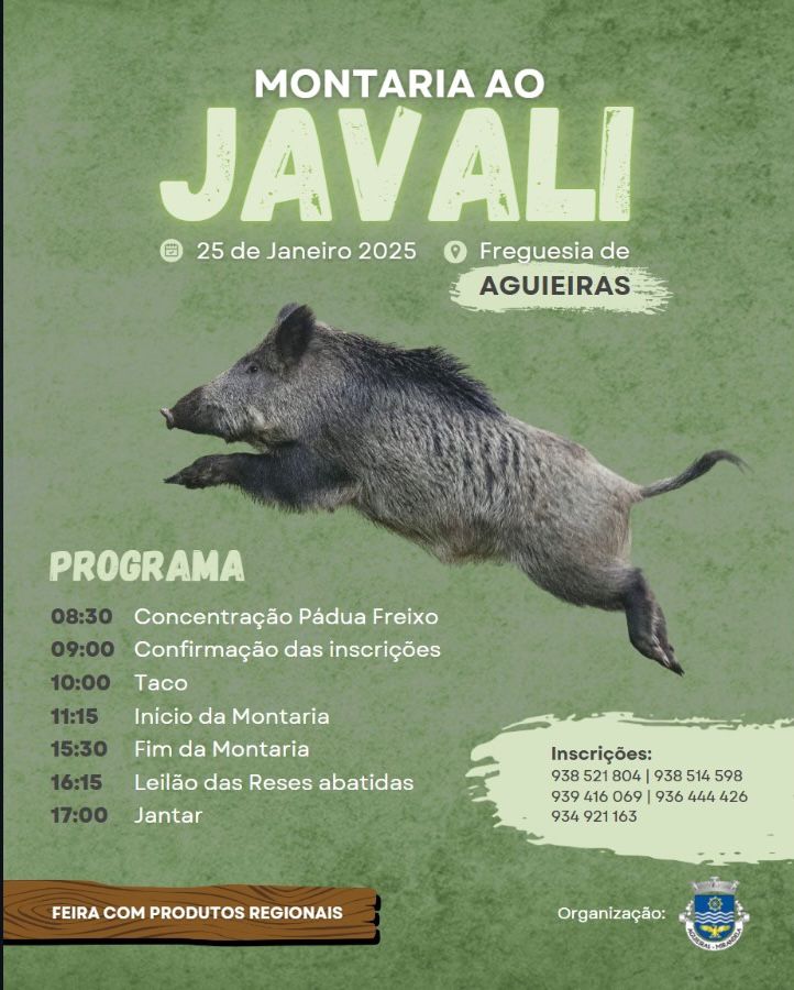 montaria_ao_javali___aguieiras